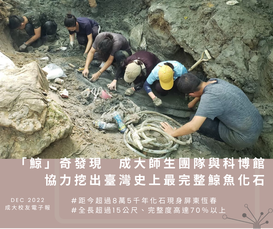 「鯨」奇發現　成大師生團隊與科博館協力挖出台灣史上最完整鯨魚化石